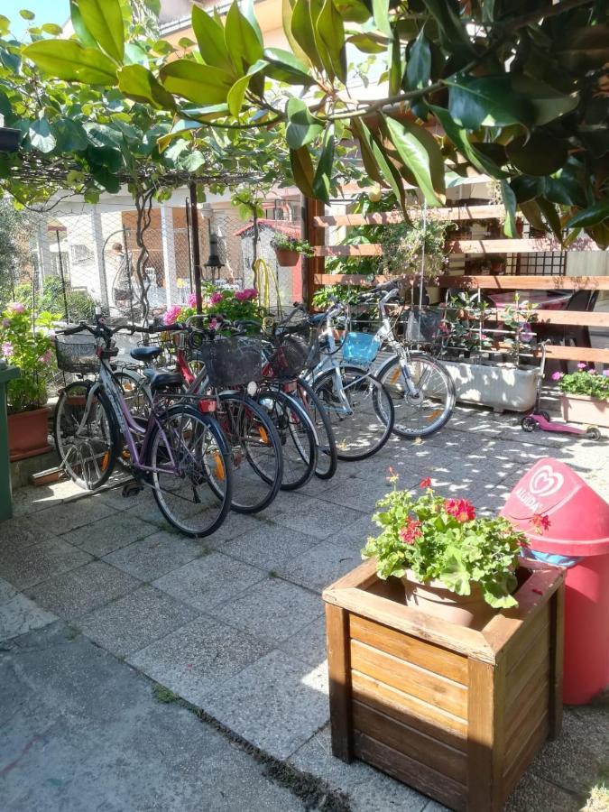 Le Magnolie B&B ロゼート・デッリ・アブルッツィ エクステリア 写真